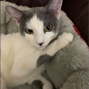 Meet your Posher, Aiko